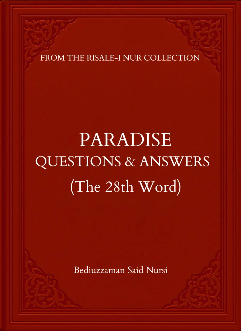 Paradise: Questions & Answers