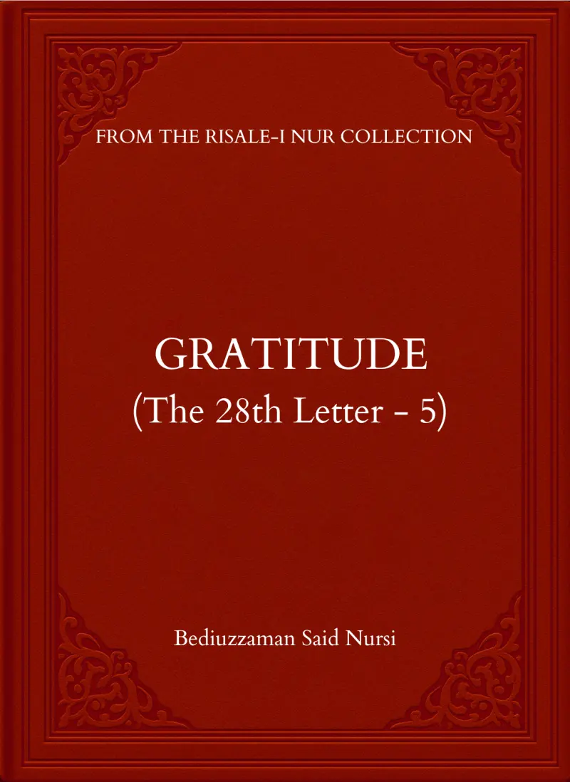 Gratitude